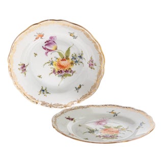 Antique Hand Painted Floral Gilt Porcelain Plates from Meissen, Set of 2 For Sale