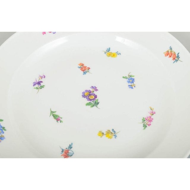 Early 20th Century Dinner Plates in Porcelain with Floral Motifs from Meissen, Set of 6 For Sale - Image 4 of 6