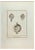 Filippo de Grado, Ancient Still Life 4, Etching, 18th Century For Sale