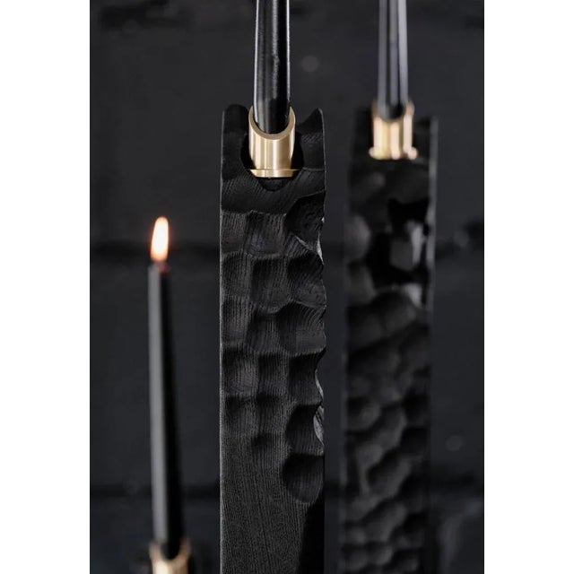 Contemporary Roots Candleholders by Jeremy Descamps, Set of 5 For Sale - Image 3 of 8