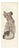 Hirschfeld and Leveille, Vagus and Sympathetic Nerves of the Trunk, 1866, Paper For Sale
