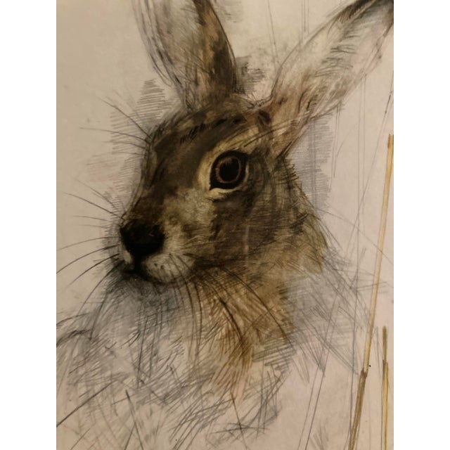 Mads Stage, Hare, 1980, Print, Framed For Sale - Image 6 of 9