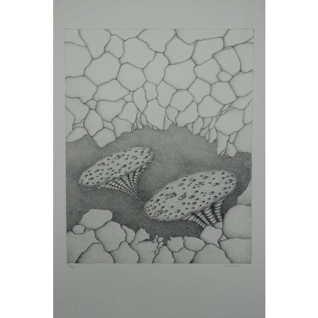 Gochka Charewicz, Harmonia, Lithograph For Sale - Image 7 of 7