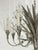 Remains Lighting "Plume" Antique Nickel & Glass 12-Arm Chandelier, Labeled For Sale - Image 10 of 18