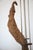 Midcentury Cat Tail and Driftwood Witco Style Sculpture For Sale - Image 11 of 14