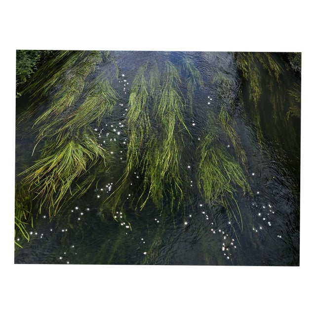 Ellie Davies, Chalk Streams 11, 2023, Print For Sale