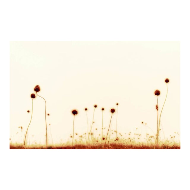 Brittany I, Photograph, 2003 For Sale