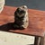 Small Balinese Limestone Frog Sculpture, 1980s For Sale - Image 10 of 11