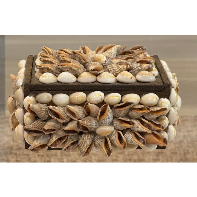 Vintage Palm Beach Style Rectangular Encrusted Shell Box in Neutral Palette For Sale - Image 9 of 18