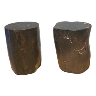 Pair of Indonesian Petrified Wood Side Tables, Bali, Organic Modern, C. 2000s For Sale