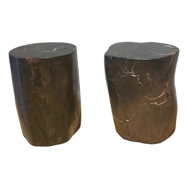 Pair of Indonesian Petrified Wood Side Tables, Bali, Organic Modern, C. 2000s For Sale