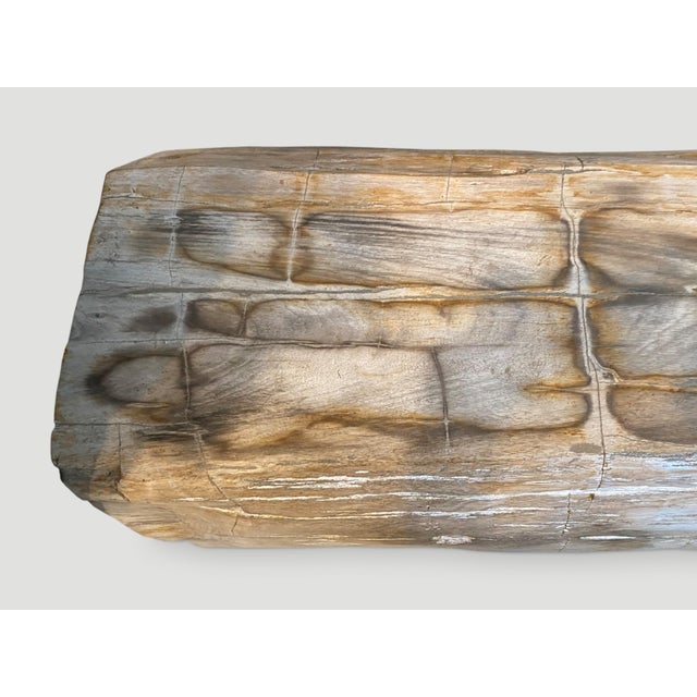 Andrianna Shamaris Rare Petrified Wood Log Bench For Sale - Image 4 of 18
