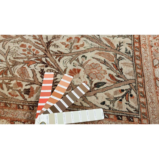 Of the antique Tabriz rugs in the collection, this size-adjusted example is distinguished by a lively allover pattern of...