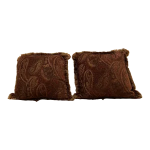 Paisley Pillows - a Pair
