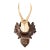 Black Forest Roe Deer Antlers Hunting Trophy 1928 Mount For Sale