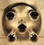 2000 - 2009 Flat Vintage German Ceiling Lamp with Metal Housing from Honsel, 2000s For Sale - Image 5 of 8
