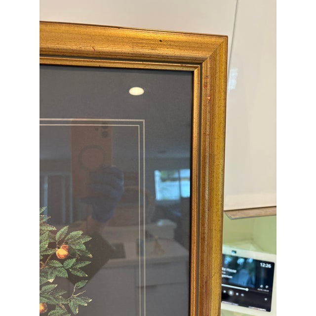 Late 20th Century Vintage Orange Tree in Urn Lithograph Under Glass Gold Frame Reproduction For Sale - Image 5 of 9