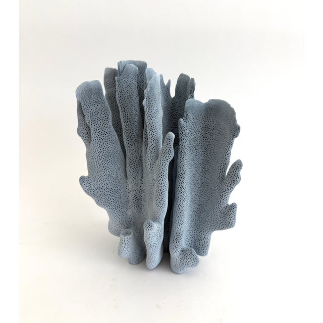 Late 20th Century Natural Blue Coral Specimen For Sale - Image 5 of 6