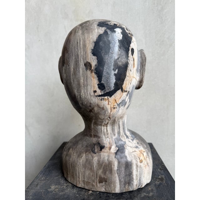 2020s Contemporary Petrified Wood Bust Sculpture — Hand-Carved Abstract Portrait, 30 Cm For Sale - Image 5 of 6