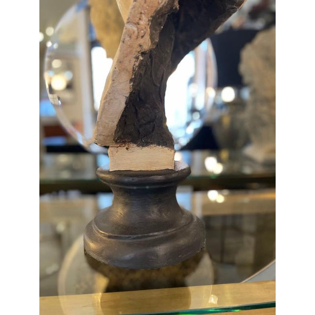 Unknwon, Plaster Bust of the God Hermes, 1900, Gesso For Sale - Image 14 of 18