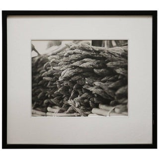 Fine Art Photograph of a Bunch of Asparagus For Sale