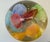 Aquarium Sculpture with Jellyfish in Murano Glass, 1970s For Sale - Image 6 of 15