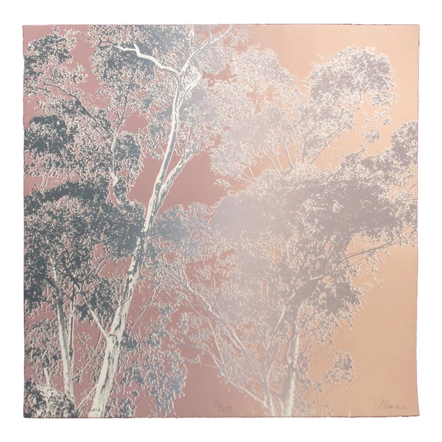 Paula Crane "Evening Prism Iii" Signed Fine Art Etching Trees 1980s For Sale