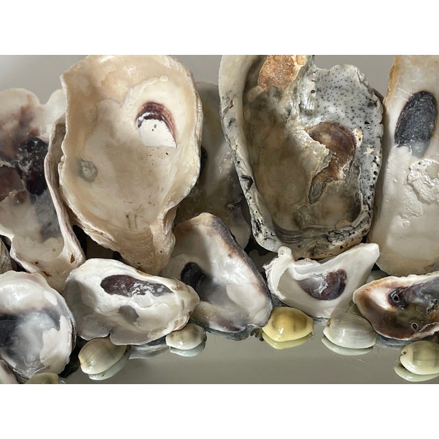 Gray 1970sReduced- Coastal Grotto Oyster Shells Encrusted Round Mirtor For Sale - Image 8 of 8