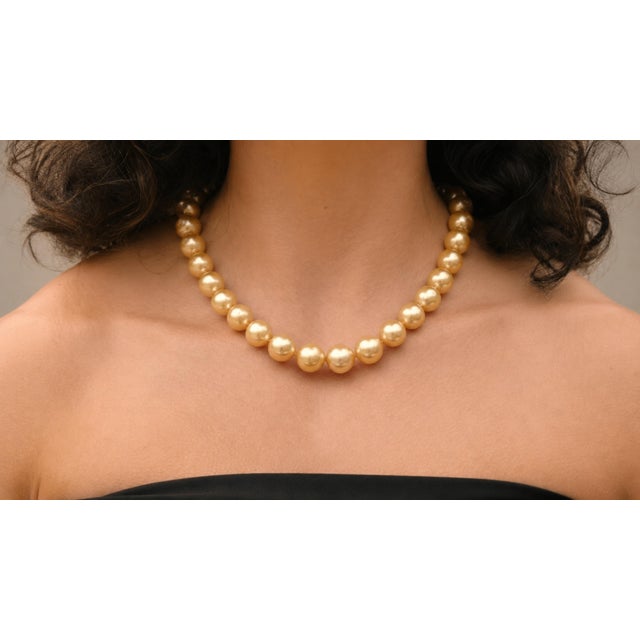 Early 21st Century South Sea Golden Pearls Necklace With 14k Gold Clasp For Sale - Image 5 of 11