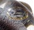 Late 20th Century Murano Vetreria Venier Label Gold Silver Flecks Black Italian Art Glass Snail Paperweight Figurine For Sale - Image 5 of 10