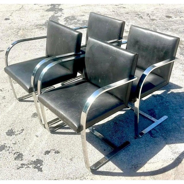 Vintage Boho Mies Van Der Rohe Brno Leather Dining Chairs - Set of 4 For Sale - Image 11 of 12