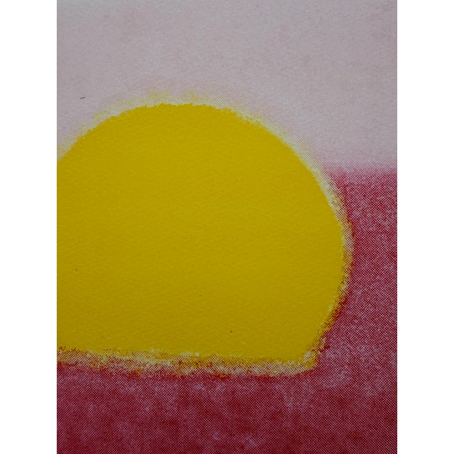 Andy Warhol (1928-1987), Sunset, 1972, Copyright 2025 the Andy Warhol Foundation for the Visual Arts, Printed in Uk For Sale - Image 10 of 11