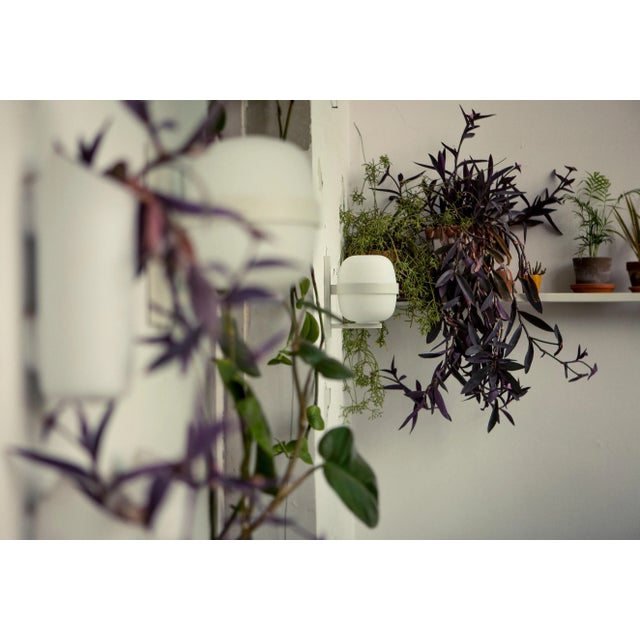 White Wally Wall Lamp by Miguel Milá For Sale - Image 4 of 10