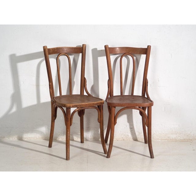 Antique Bentwood Chairs, Central Europe, 1900s, Set of 6 For Sale - Image 14 of 16