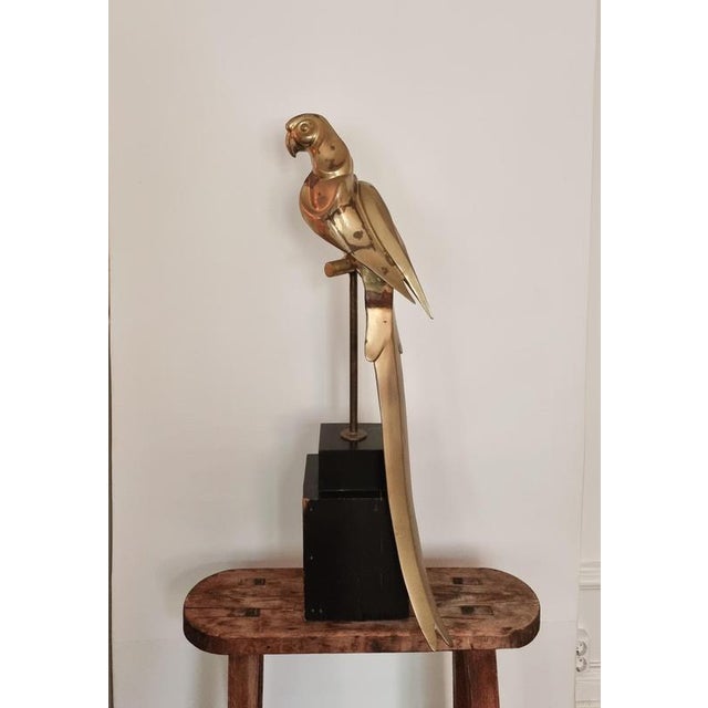 Hollywood Regency Brass Parrot Sculpture, 1970s For Sale - Image 12 of 18
