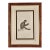 Le Mangabey Monkey: Framed Audebert 18th C. Hand-Colored Engraving, 1797 For Sale
