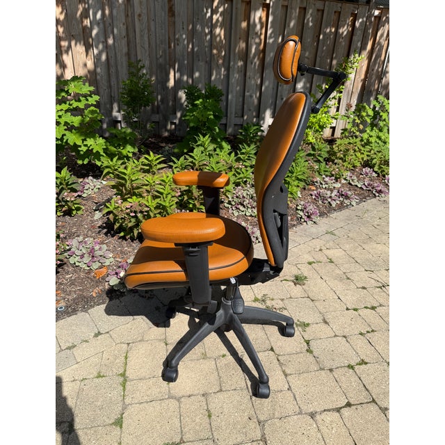 Lifeform Ergonomic Office Chair | Chairish