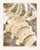 "Bones" - Abstracted Etching in Ink on Paper (Artist's Proof) Abstracted print by Doris Ann Warner (American, 1925-2010)....