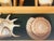 1970s Great Sea Shell Marine Specimens Collection in Wood Tray For Sale - Image 5 of 8