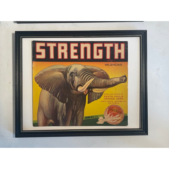1950s Sunkist Vintage Polychrome Advertisement Posters Framed - Set of 4 For Sale - Image 5 of 8