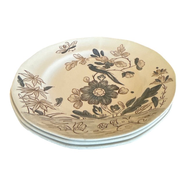 Vintage Adams India Parrot Gray Chinoiserie Ironstone Salad Plates, Set of 3 For Sale