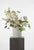 A dynamic, garden-style arrangement featuring white magnolia, lavender cornflower, and soft green fritillaria. The mix of...