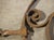 Set of Antique French Wrought Iron Scrolling Elements, Early 1800s For Sale - Image 9 of 18