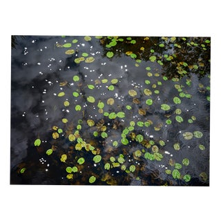 Ellie Davies, Chalk Streams 9, 2023, Print For Sale