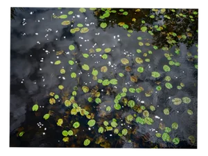 Ellie Davies, Chalk Streams 9, 2023, Print