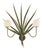 Pompano Sconce by Lowcountry Originals For Sale