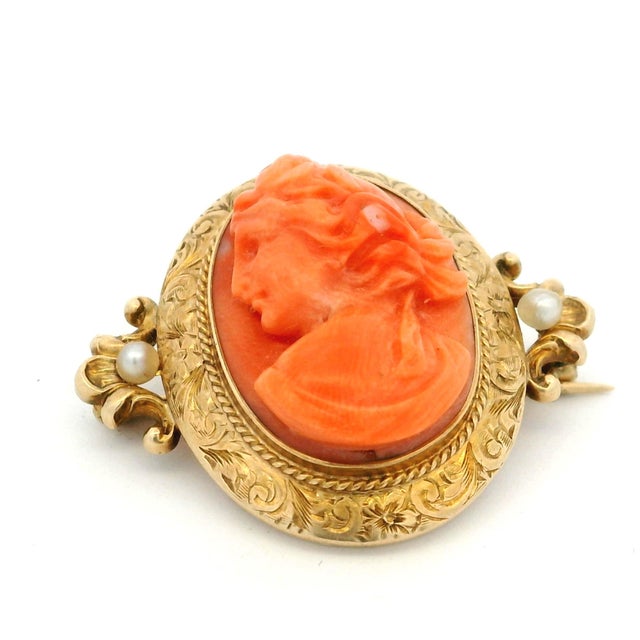 Late 19th Century Victorian Hand-Carved Mediterranean Coral Cameo Brooch in 14k Gold With Seed Pearls For Sale - Image 10 of 13