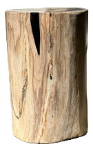 Side Table in White Petrified Wood with Black Spots
