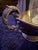 Vintage Barker Ellis Silver-Plated Decorative Bowl With Scrolled Handles For Sale - Image 4 of 11