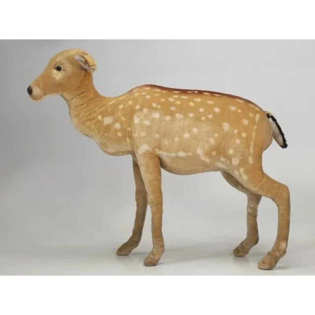 1963 Steiff Mohair Fallow Deer "Studio Animal" For Sale - Image 13 of 13
